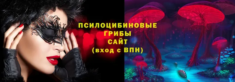 Галлюциногенные грибы Cubensis  Железногорск-Илимский 